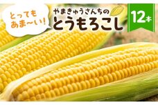 メロン くらい 甘い とうもろこし 12本 大粒 産地直送 数量限定 朝採り 先行予約 トウモロコシ コーン