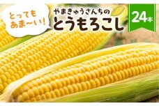メロン くらい 甘い とうもろこし 24本 大粒 産地直送 数量限定 朝採り 先行予約 トウモロコシ コーン