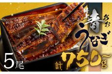 【すぐにお届け/冷蔵】厳選 高級 青うなぎ 5尾 蒲焼 750g