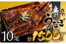 【すぐにお届け/冷凍】厳選 高級 青うなぎ 10尾 蒲焼 1500g 