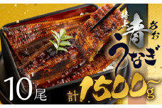 【土用の丑の日お届け/冷蔵】厳選 高級 青うなぎ 10尾 蒲焼 1500g