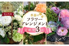 定期便 3回 季節のお花を使った フラワーアレンジメント 花 かご付き 生花 お任せ ギフト プレゼント 飾り 愛知県 田原市 渥美半島 51000円