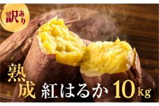先行予約 訳あり さつまいも 10kg  サイズ無選別 紅はるか 田原市 渥美半島 