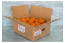 八木みかん園の農家直送 ハウスみかん 2kg入り みかん ミカン mikan 送料無料 フルーツ 果物 お取り寄せ 本場 幸せの連鎖 甘い 濃厚 コク ジューシー 応援 寄附 産地直送 12000円