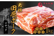 《バラ》国産 豚肉 ブロック 1kg 田原ポーク