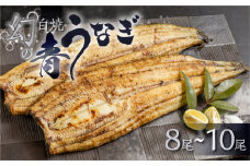 【冷蔵】厳選 高級 青うなぎ 白焼 8尾 1200g