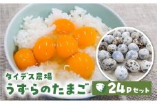 田原市産 うずらの卵 10玉入り×24パック タイデスうずら 鶉 ウズラ たまご 240個 クウェールコスモス 愛知県 田原市 国産 渥美半島 18000円