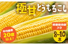 【夏採れお届け】 平均糖度20度以上 極甘とうもろこし 8～10本 鮮度保持袋入り 2025年先行予約
