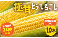 【秋採れお届け】 平均糖度20度以上 極甘とうもろこし 10本 鮮度保持袋入り