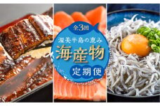 渥美半島の恵み 海産物 定期便 3回 海鮮  ( うなぎ / しらす / サーモン ) 鰻 刺身 丼 人気 ご当地 鰻 蒲焼 蒲焼き  頒布会