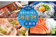 渥美半島の恵み 海産物 定期便 4回 ( うなぎ / しらす / サーモン / 大アサリ ) 鰻 蒲焼 刺身 海鮮 丼 人気  サーモン ご当地 あさり 大あさり 蒲焼き 蒲焼 釜揚げ 頒布会