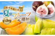 先行予約 2025年発送 渥美半島の恵み 夏のフルーツ 定期便 3回 ( タカミレッド / いちじく / マスクメロン) 果物 旬 めろん イチジク 夏 夏季 人気 愛知県 田原市 40000円 頒布会