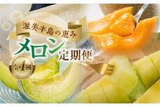 先行予約 2025年発送 渥美半島の恵み メロン 4回( イエローキング / タカミレッド / 古田メロン / マスクメロン) 定期便 果物 頒布会