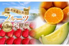先行予約 2025年発送 渥美半島の恵み フルーツ 定期便 3回 ( いちご / マスクメロン / ハウスみかん) 果物 旬 めろん イチゴ みかん 紅ほっぺ 期間限定 季節の果物 人気  34000円 頒布会