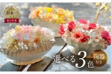 プリザーブドフラワー 花 陶器付き 選べる3色 ギフト プレゼント 飾り 愛知県 田原市 渥美半島 26000円