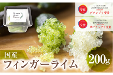 先行予約 フィンガーライムアソート 果実 200g 詰め合せ 品種お任せ フィンガーライム 