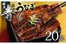 厳選 高級 青うなぎ 蒲焼 20尾 3000g 訳あり 大容量