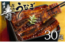 厳選 高級 青うなぎ 蒲焼 30尾 4500g 訳あり 大容量