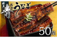 厳選 高級 青うなぎ 蒲焼 50尾 7500g 訳あり 大容量