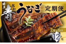 厳選 高級 青うなぎ 蒲焼 2尾 全6回 定期便 合計12尾  ( うなぎ うなぎ定期便 6回 ６ 定期  6ヶ月 6ヵ月 6か月 半年 72000円 )