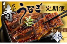 厳選 高級 青うなぎ 蒲焼 4尾 全12回 定期便 合計48尾  ( うなぎ うなぎ定期便 12回 １２ 定期  12ヶ月 12ヵ月 12か月 1年 276000円 )