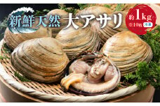 天然大アサリ10枚 約1kg 特製だし醤油付き CAS冷凍 半割処理済 海鮮バーベキュー BBQ 三河湾産 天然 大アサリ あさり 国産 アサリ 愛知県 田原市 新鮮 砂抜き 海鮮 魚介類 魚介 貝 冷凍 人気 12000円