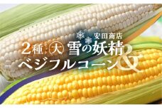 先行予約 安田商店 朝採り とうもろこし　(ホワイト、イエロー詰合せ(大)) とうもろこし 大粒 人気 朝採り 産地直送 甘い 送料無料 数量限定 採れたて お取り寄せ トウモロコシ コーン 21000円