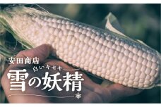 先行予約 朝採り とうもろこし 雪の妖精 (6～7本) 安田商店 大粒 人気 朝採り 産地直送 甘い 送料無料 数量限定 先行予約 採れたて お取り寄せ トウモロコシ コーン 12000円