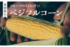 先行予約 安田商店 朝採りとうもろこし (ベジフルコーン) 先行予約 大粒 人気 朝採り 産地直送 甘い 送料無料 数量限定 採れたて お取り寄せ トウモロコシ コーン 10000円