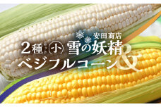 安田商店の朝採りとうもろこし(ホワイト、イエロー詰合せ(小)) とうもろこし 大粒 人気 朝採り 産地直送 甘い 送料無料 数量限定 先行予約 朝採り お取り寄せ トウモロコシ コーン 11000円
