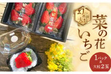 先行予約 2025年1月～発送開始 菜の花いちご 1パック(6～8粒入)・大粒2玉 