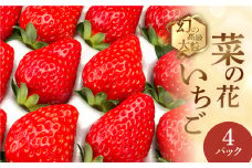 先行予約 2025年1月～発送開始 菜の花いちご6～8粒入 4パック 大粒 