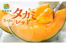 先行予約 タカミレッド 5kg 3～5玉 水野農園