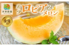 先行予約 ロピアメロン2玉 水野農園 2025年6月中旬以降 順次発送