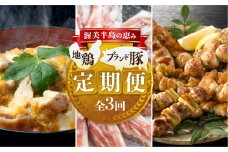 渥美半島の恵み ブランド豚・地鶏 定期便 全3回  ( 肉 地鶏 豚 ハム 名古屋コーチン 惣菜 簡単調理 焼鳥 焼き鳥 3回 3ヶ月 3ヵ月 3か月 )  頒布会