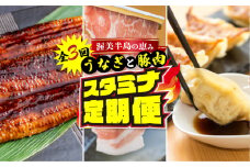 渥美半島の恵み スタミナセット定期便  全3回  ( うなぎ 肉 地鶏 餃子 無添加 名古屋コーチン 惣菜 簡単調理 焼鳥 焼き鳥 3回 3か月 3ヵ月 3ヶ月 ) 　頒布会