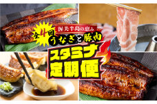 渥美半島の恵み スタミナセット定期便  全4回 ( うなぎ 肉 地鶏 餃子 無添加 名古屋コーチン 惣菜 簡単調理 焼鳥 焼き鳥 4回 4か月 4ヵ月 4ヶ月 ) 　頒布会
