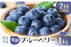 完熟ブルーベリー　1kg　2回定期便