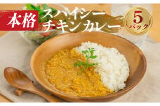 本格 簡単調理 スパイシー チキンカレー 5袋