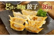 季節限定 5月～12月発送 福豚餃子