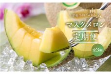 【定期便】先行予約 マスクメロン 3回お届け  伊良湖産 2玉 3Lサイズ 2025年7月スタート  日研農園