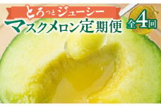 【定期便】先行予約 マスクメロン 4回お届け  伊良湖産 2玉 2025年6月スタート  マルカ農園