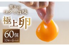 【感動の卵体験】コク旨 極上卵 60 個 割れ保証付き こだわり たまご 卵