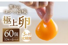【3回お届け定期便】コク旨 極上卵 60 個 割れ保証付き 定期便 （ たまご 卵 毎月 3回 3ヶ月 3ヵ月 3か月 ランキング ）