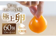 【6回お届け定期便】コク旨 極上卵 60 個 割れ保証付き 定期便 （ たまご 卵 毎月 6回 6ヵ月 6ヶ月 6か月 半年 ランキング ）