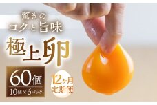 【12回お届け定期便】コク旨 極上卵 60 個 割れ保証付き 定期便 （ たまご 卵 毎月 12回 12ヶ月 12ヵ月 12か月 1年 60個 ランキング ）