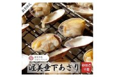 《先行予約》渥美 垂下 あさり かごいり娘 1.2kg 