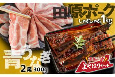 青うなぎ＆田原ポーク 渥美半島よくばりセット うなぎ 蒲焼き 鰻 ウナギ うなぎ蒲焼 惣菜 幻 簡単調理 おいしい 高評価 ふるさと納税 魚 さかな 魚介 ランキング 豚 豚肉 ブランド豚 小分け ギフト箱 贈答用 1kg 2尾 入手困難 期間限定 数量限定 季節限定 ふるさとチョイス キャンペーン おすすめ 