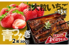 青うなぎ＆いちご 渥美半島よくばりセット うなぎ 蒲焼き 鰻 ウナギ うなぎ蒲焼 惣菜 幻 簡単調理 おいしい 高評価 ふるさと納税 魚 さかな 魚介 ランキング 苺 いちご フルーツ 旬 紅ほっぺ べにほっぺ 高糖度 甘い 果物 くだもの 入手困難 期間限定 数量限定 季節限定 ふるさとチョイス キャンペーン おすすめ 