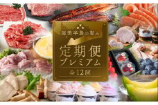 渥美半島の恵み どうまい 定期便 プレミアム 全12回 （ うなぎ いちご 地鶏 名古屋コーチン メロン マスクメロン ブランド豚 田原ポーク ハム ソーセージ  とうもろこし サーモン 海鮮 フルーツ 牛肉 青うなぎ など ) 果物 人気  12か月